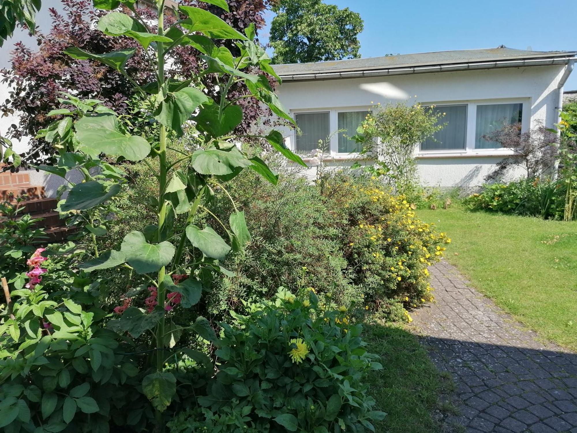 Pension Haus Anneliese Uckeritz Exteriör bild
