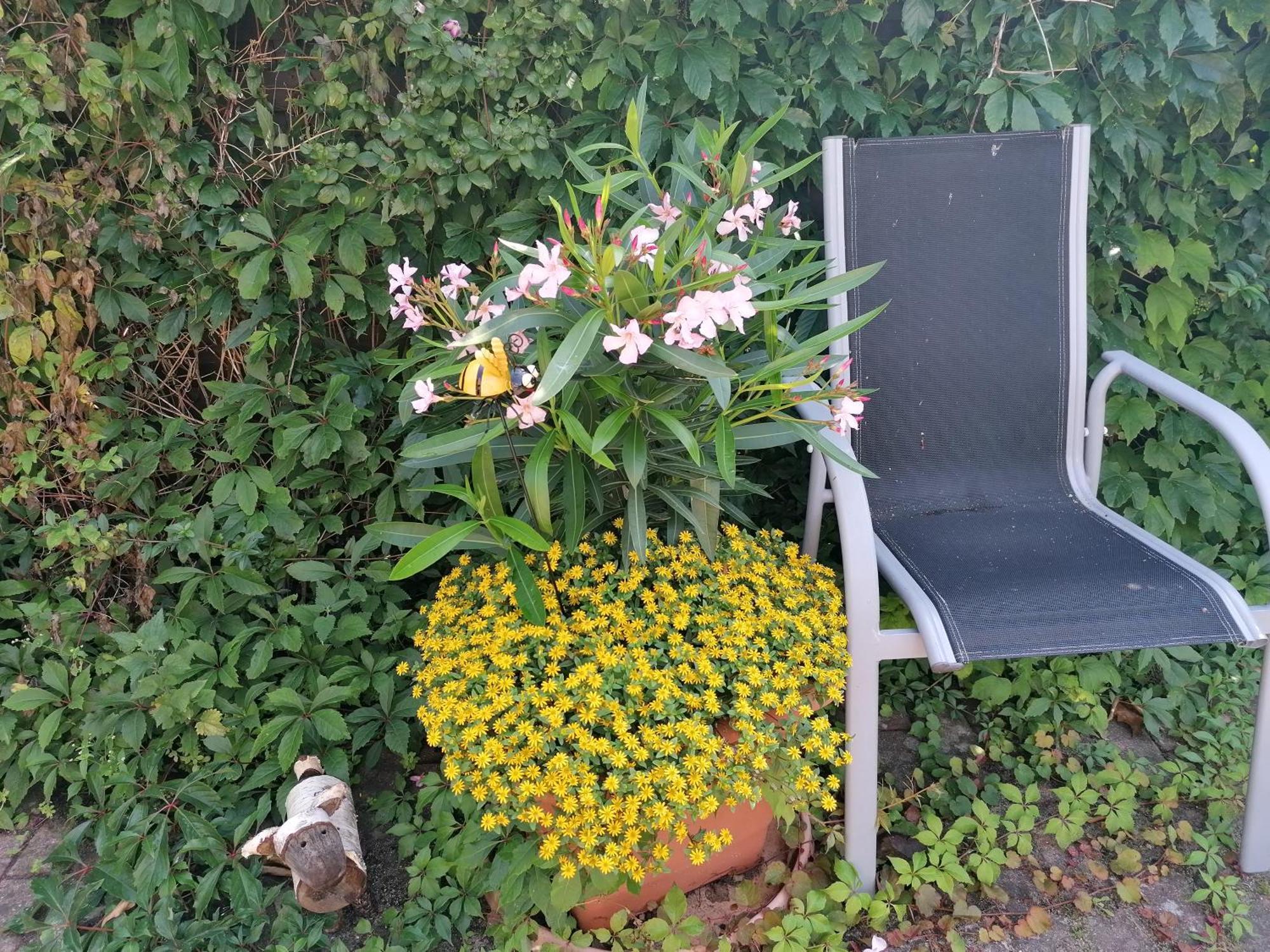 Pension Haus Anneliese Uckeritz Exteriör bild