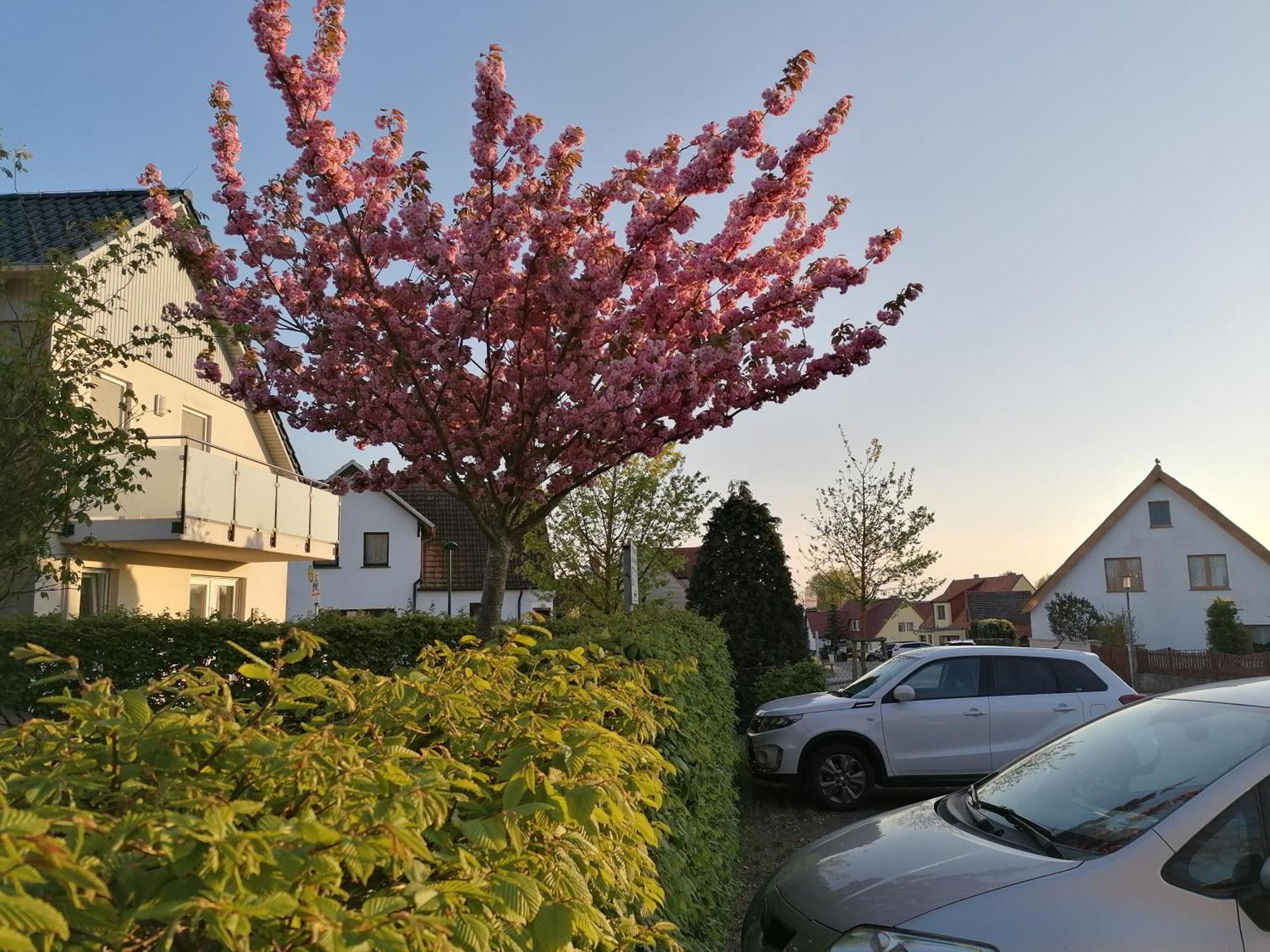 Pension Haus Anneliese Uckeritz Exteriör bild