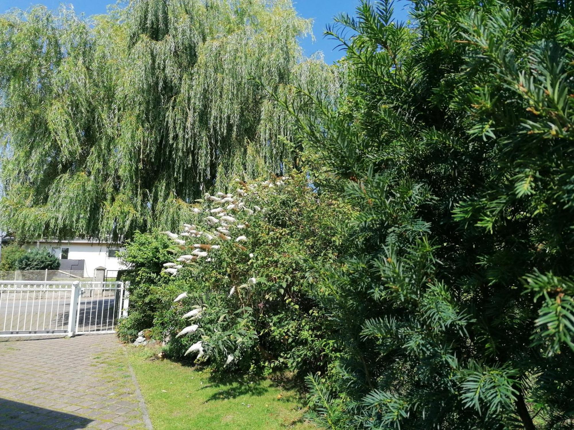 Pension Haus Anneliese Uckeritz Exteriör bild