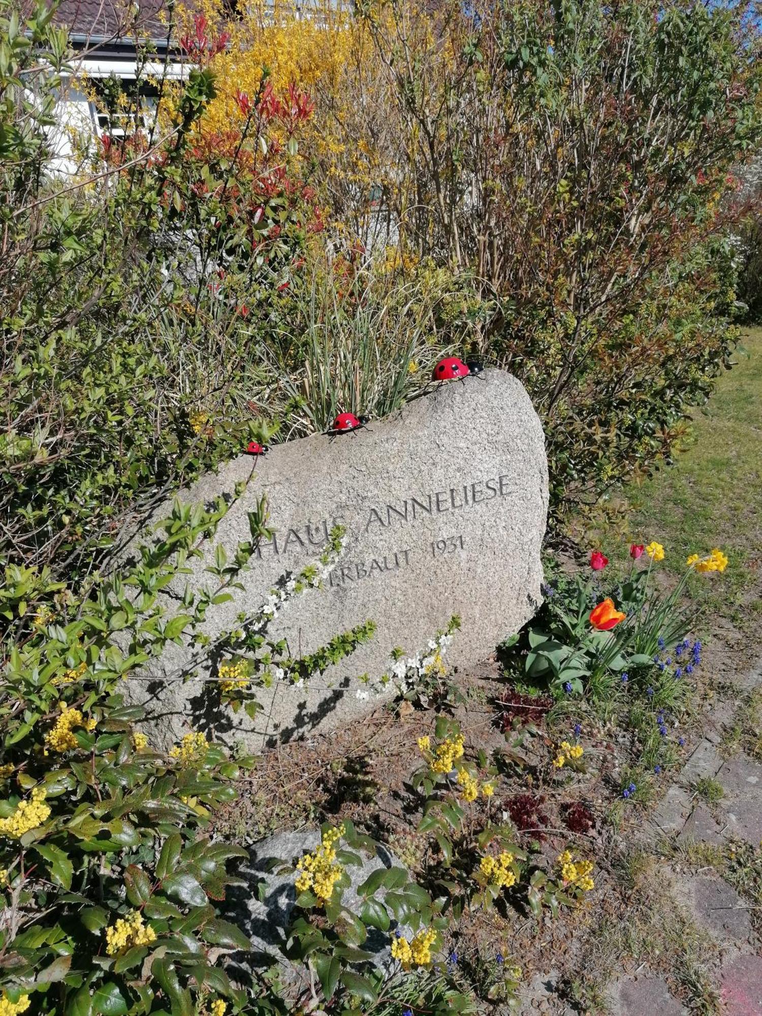 Pension Haus Anneliese Uckeritz Exteriör bild