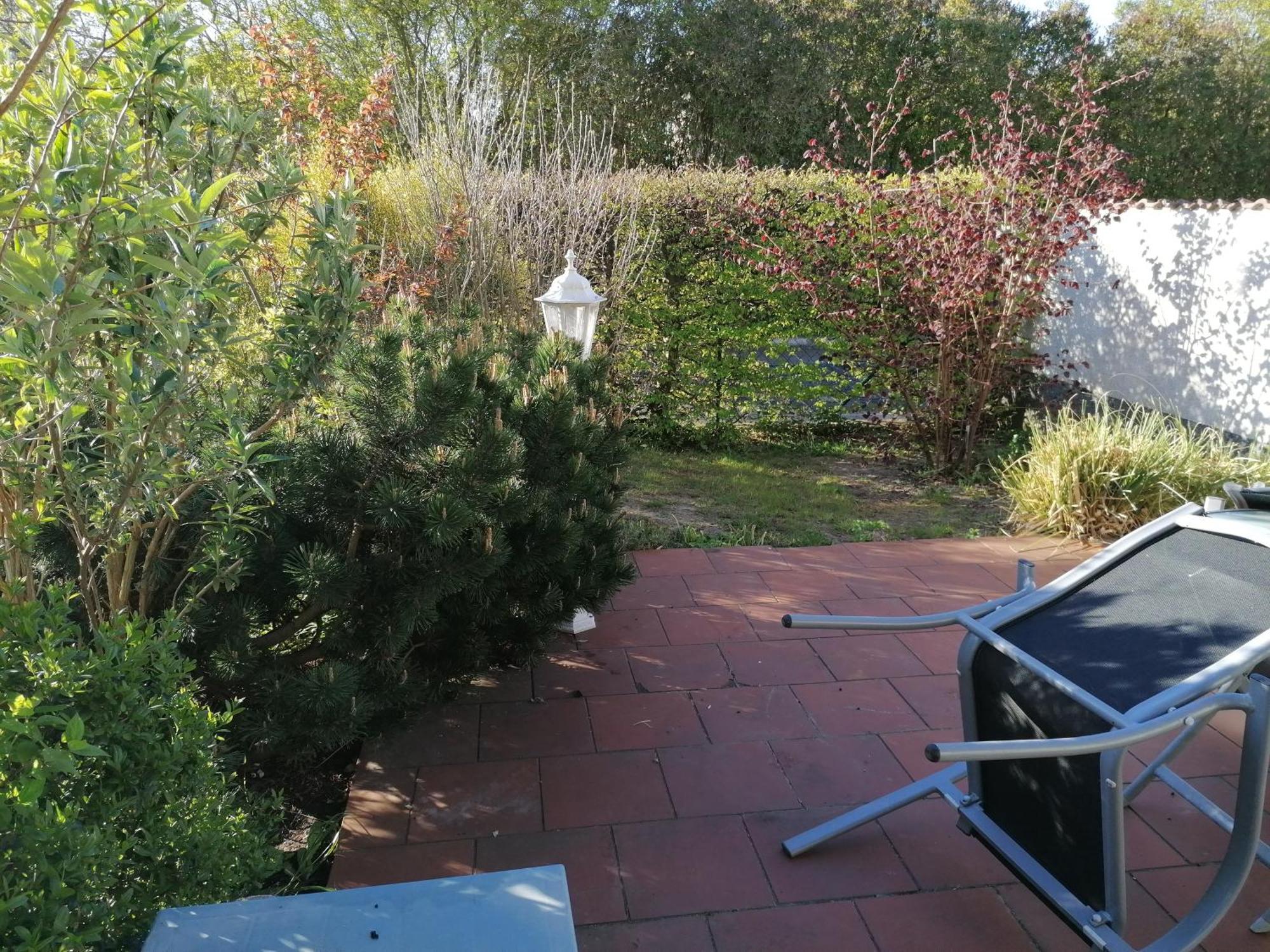 Pension Haus Anneliese Uckeritz Rum bild